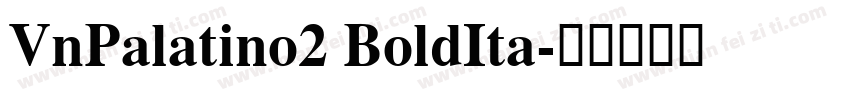 VnPalatino2 BoldIta字体转换